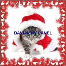 Kočička mourovaná ve vánoční čepici 39x39cm bavlněné plátno panel