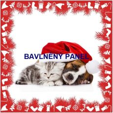 Kotě a štěňátko pod vánoční čepicí 29x29cm bavlněné plátno panel