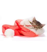 Kočička ve vánoční čepici 40x25cm bavlněné plátno panel