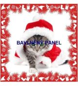 Kočička mourovaná ve vánoční čepici 39x39cm bavlněné plátno panel