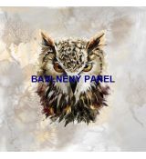 Soví hlava na šedo béžovo kávových skvrnách panel 59x58cm teplákovina