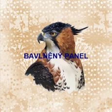 Dravec na béžovém květinovém vzoru panel 59x57cm teplákovina